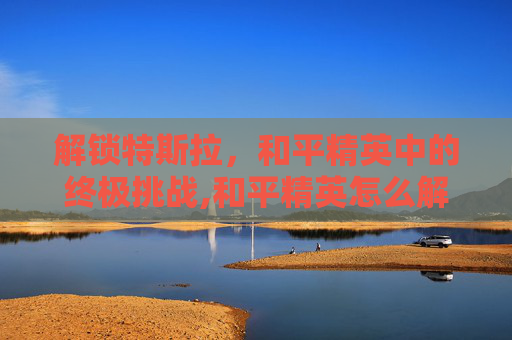 解锁特斯拉，和平精英中的终极挑战,和平精英怎么解锁特斯拉皮肤