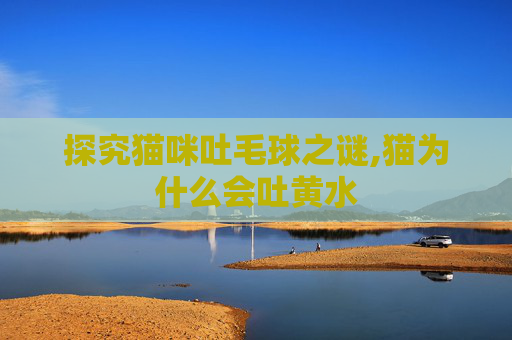 探究猫咪吐毛球之谜,猫为什么会吐黄水
