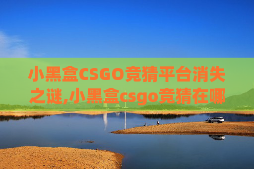 小黑盒CSGO竞猜平台消失之谜,小黑盒csgo竞猜在哪里