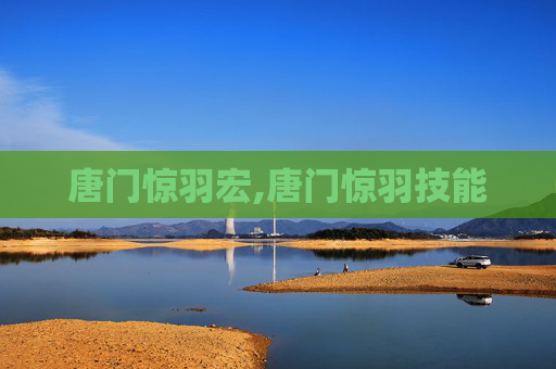 唐门惊羽宏,唐门惊羽技能