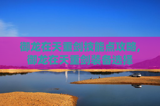 御龙在天重剑技能点攻略,御龙在天重剑装备选择