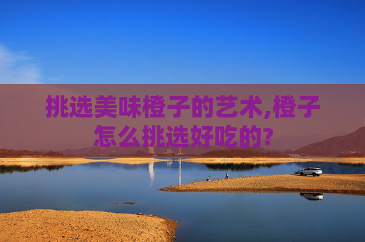 挑选美味橙子的艺术,橙子怎么挑选好吃的?