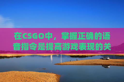 在CSGO中，掌握正确的语音指令是提高游戏表现的关键,csgo按住什么说语音会有声音