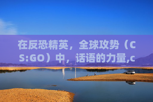 在反恐精英，全球攻势（CS:GO）中，话语的力量,csgo说的话