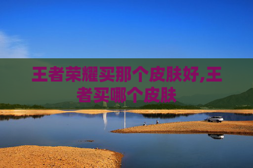 王者荣耀买那个皮肤好,王者买哪个皮肤