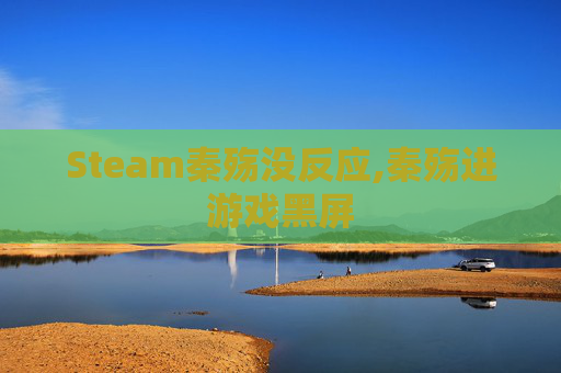 Steam秦殇没反应,秦殇进游戏黑屏