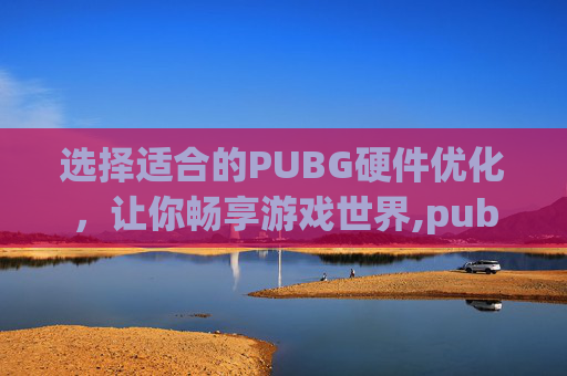 选择适合的PUBG硬件优化，让你畅享游戏世界,pubg游戏优化怎么样