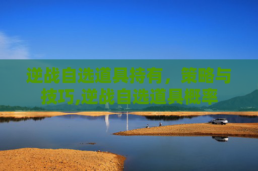 逆战自选道具持有，策略与技巧,逆战自选道具概率