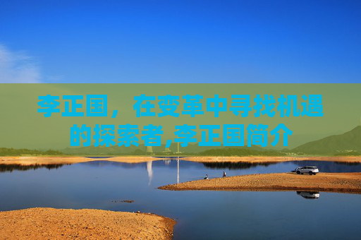 李正国，在变革中寻找机遇的探索者,李正国简介