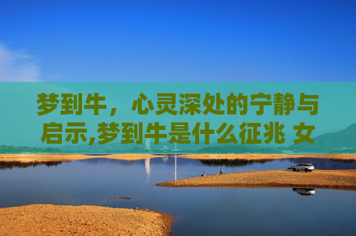 梦到牛，心灵深处的宁静与启示,梦到牛是什么征兆 女性