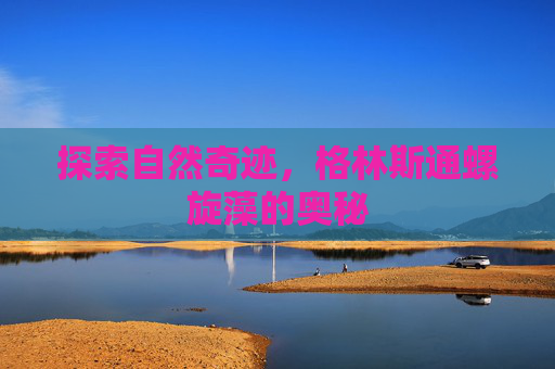 探索自然奇迹，格林斯通螺旋藻的奥秘