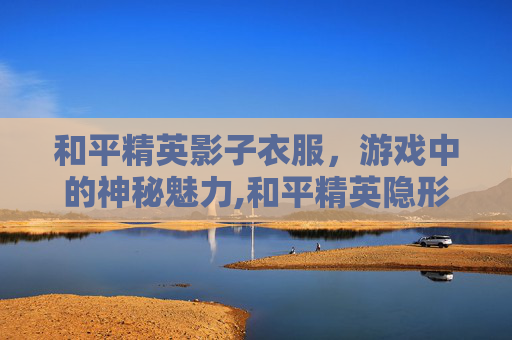 和平精英影子衣服，游戏中的神秘魅力,和平精英隐形衣服叫什么
