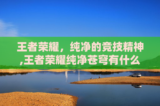 王者荣耀，纯净的竞技精神,王者荣耀纯净苍穹有什么用
