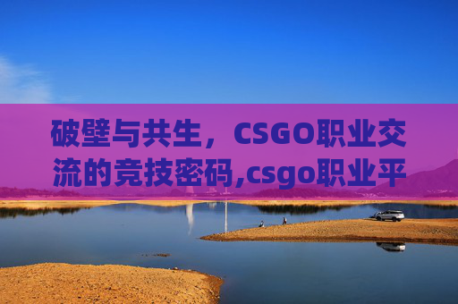破壁与共生，CSGO职业交流的竞技密码,csgo职业平台