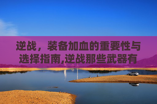 逆战，装备加血的重要性与选择指南,逆战那些武器有加成