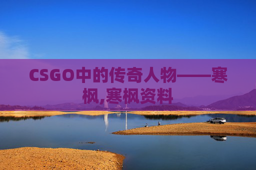 CSGO中的传奇人物——寒枫,寒枫资料