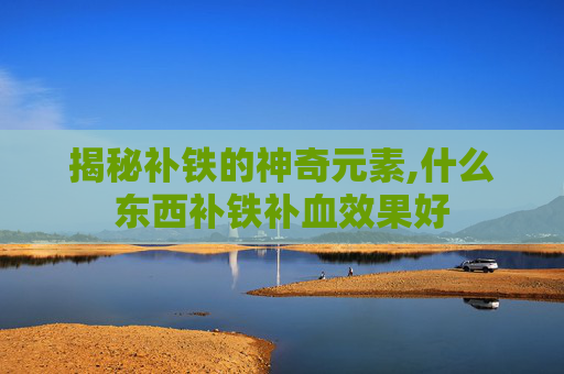 揭秘补铁的神奇元素,什么东西补铁补血效果好