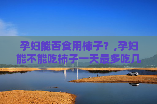 孕妇能否食用柿子？,孕妇能不能吃柿子一天最多吃几个