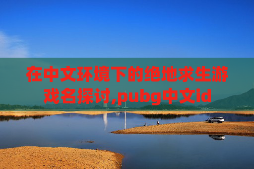 在中文环境下的绝地求生游戏名探讨,pubg中文id