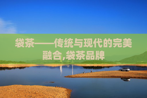 袋茶——传统与现代的完美融合,袋茶品牌 袋茶——传统与现代的完美融合,袋茶品牌