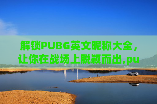 解锁PUBG英文昵称大全，让你在战场上脱颖而出,pubg英文名字带翻译