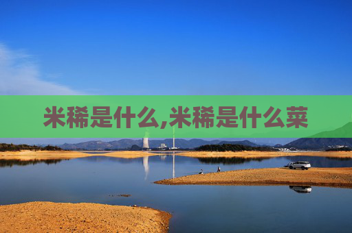 米稀是什么,米稀是什么菜