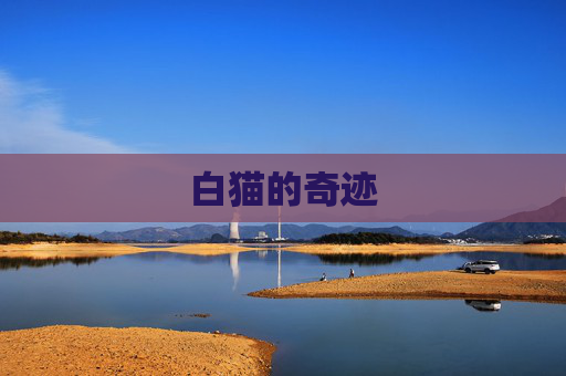 白猫的奇迹