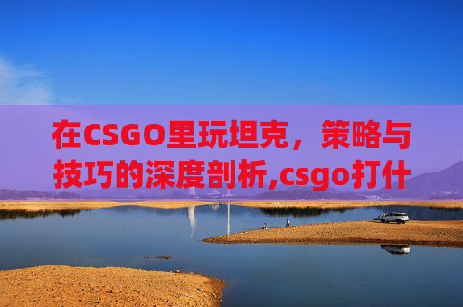 在CSGO里玩坦克，策略与技巧的深度剖析,csgo打什么