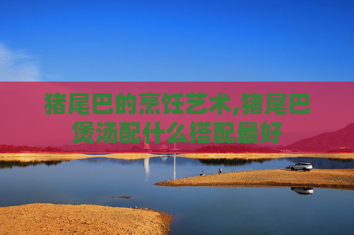 猪尾巴的烹饪艺术,猪尾巴煲汤配什么搭配最好