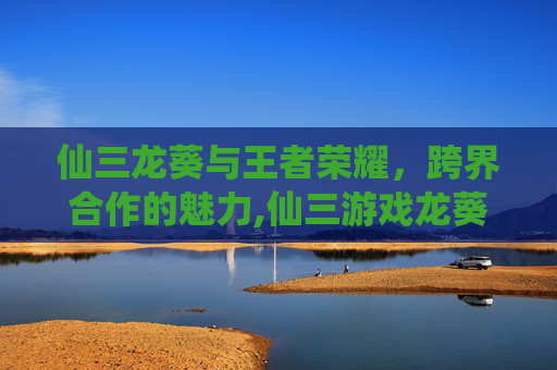 仙三龙葵与王者荣耀，跨界合作的魅力,仙三游戏龙葵图片