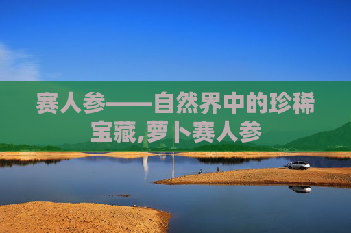 赛人参——自然界中的珍稀宝藏,萝卜赛人参