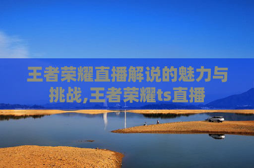 王者荣耀直播解说的魅力与挑战,王者荣耀ts直播