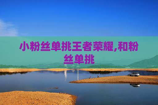小粉丝单挑王者荣耀,和粉丝单挑