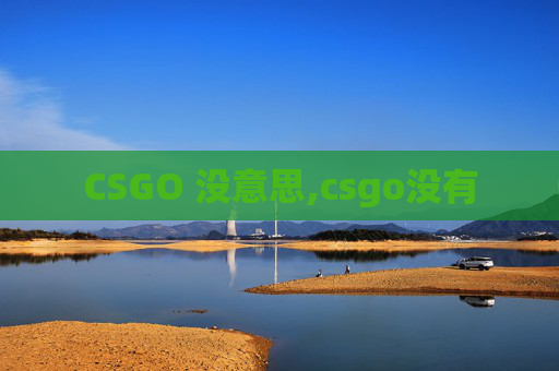 CSGO 没意思,csgo没有