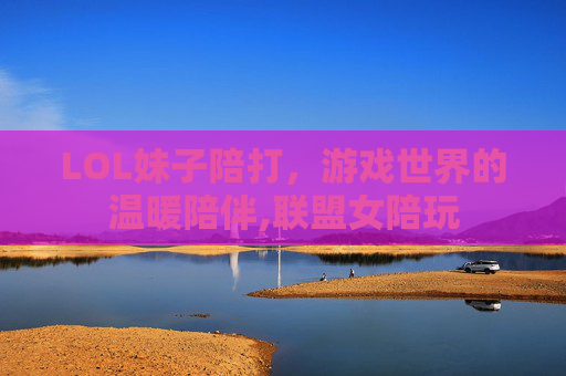 LOL妹子陪打，游戏世界的温暖陪伴,联盟女陪玩