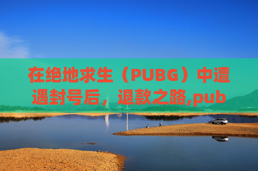 在绝地求生（PUBG）中遭遇封号后，退款之路,pubg封号了可以再买吗