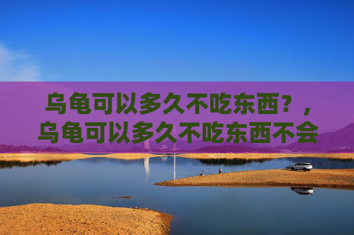 乌龟可以多久不吃东西？,乌龟可以多久不吃东西不会死
