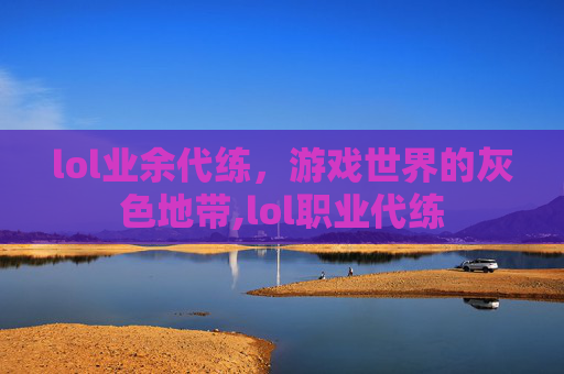 lol业余代练，游戏世界的灰色地带,lol职业代练