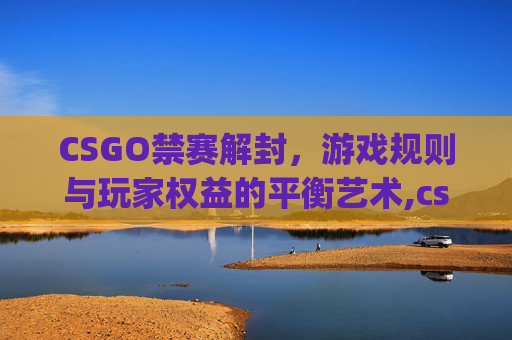 CSGO禁赛解封，游戏规则与玩家权益的平衡艺术,csgo被禁赛怎么申诉