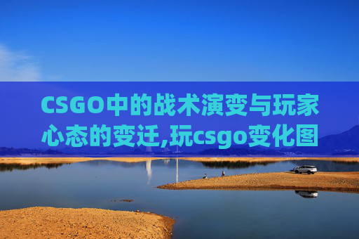 CSGO中的战术演变与玩家心态的变迁,玩csgo变化图