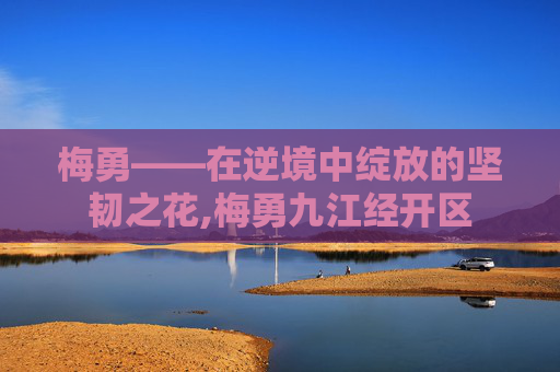 梅勇——在逆境中绽放的坚韧之花,梅勇九江经开区