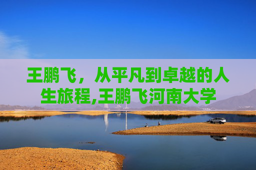 王鹏飞，从平凡到卓越的人生旅程,王鹏飞河南大学