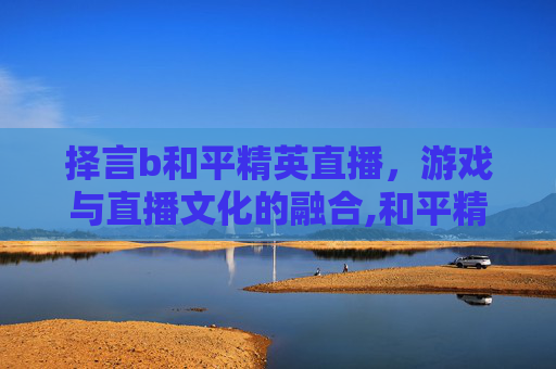 择言b和平精英直播，游戏与直播文化的融合,和平精英难言直播