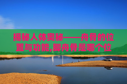 揭秘人体奥秘——舟骨的位置与功能,脚舟骨是哪个位置图片