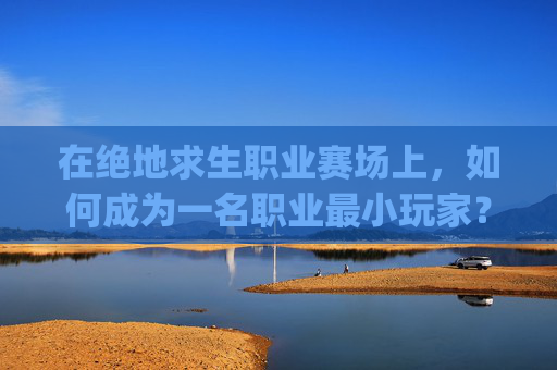 在绝地求生职业赛场上，如何成为一名职业最小玩家？,pubg 职业