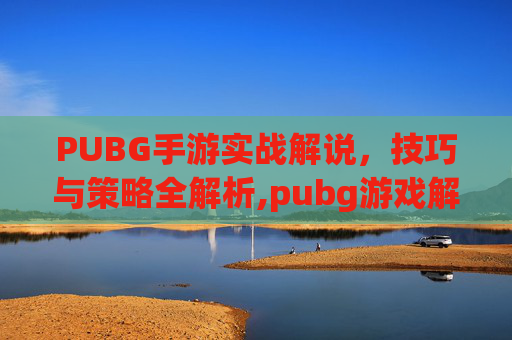 PUBG手游实战解说，技巧与策略全解析,pubg游戏解说