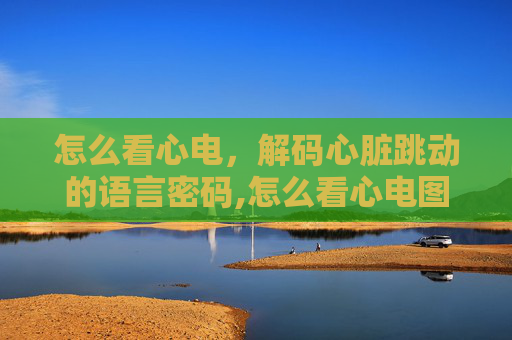 怎么看心电，解码心脏跳动的语言密码,怎么看心电图波形图