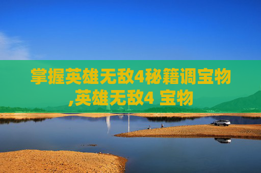 掌握英雄无敌4秘籍调宝物,英雄无敌4 宝物