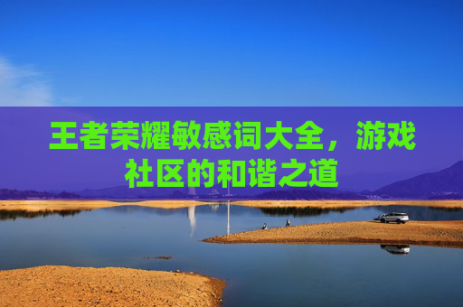 王者荣耀敏感词大全，游戏社区的和谐之道