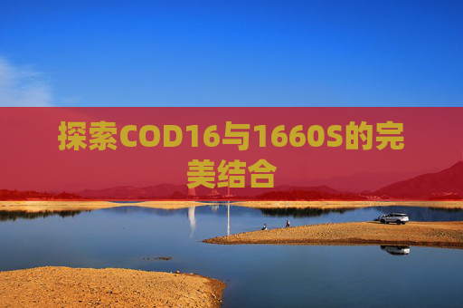 探索COD16与1660S的完美结合